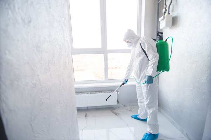 An expert mold remediation technicians uses special chemicals to clean and sanitize during mold remediation in Dover, DE.
